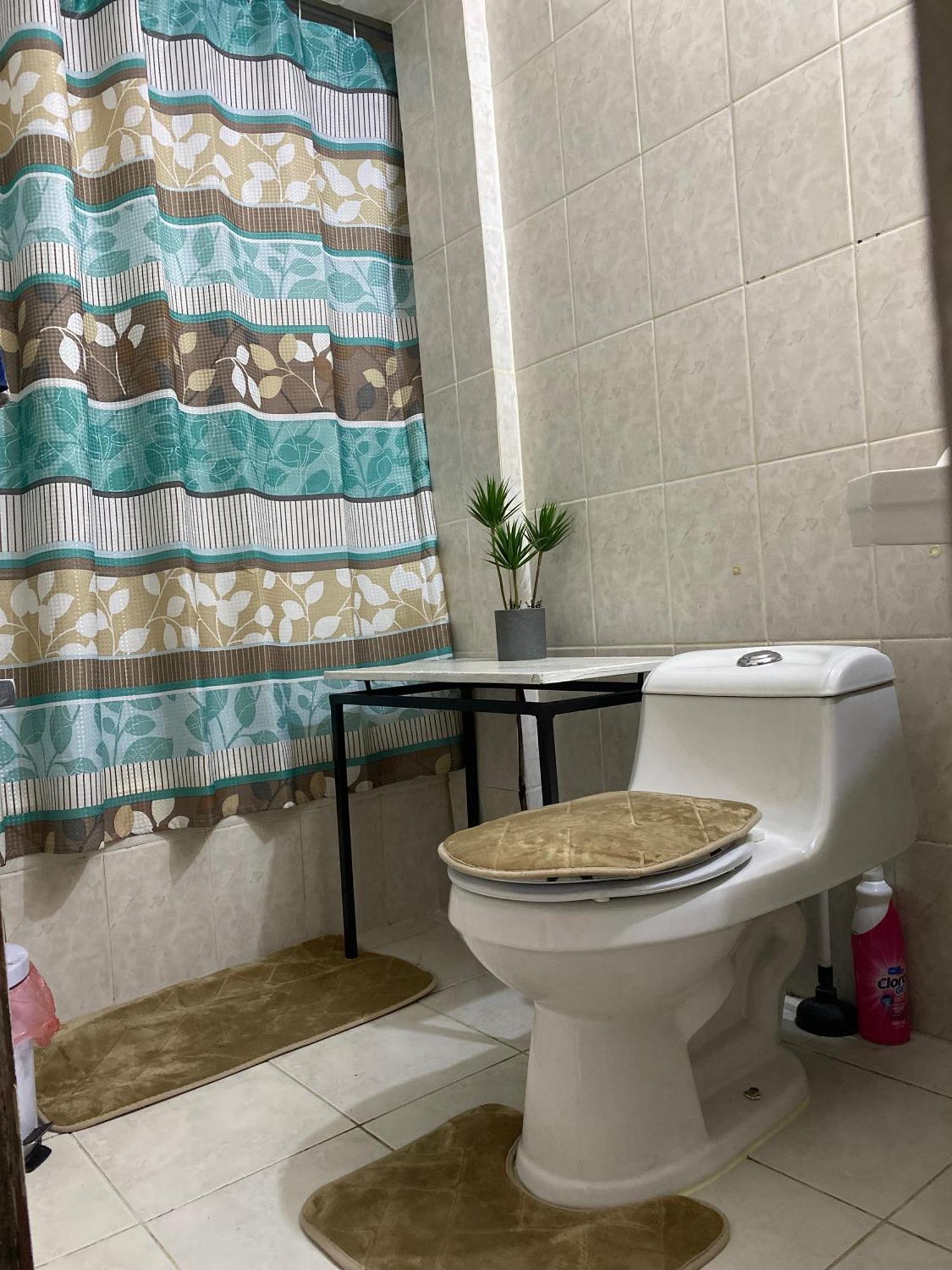 Departamento En Providencia Casa Roman Santiago Ngoại thất bức ảnh