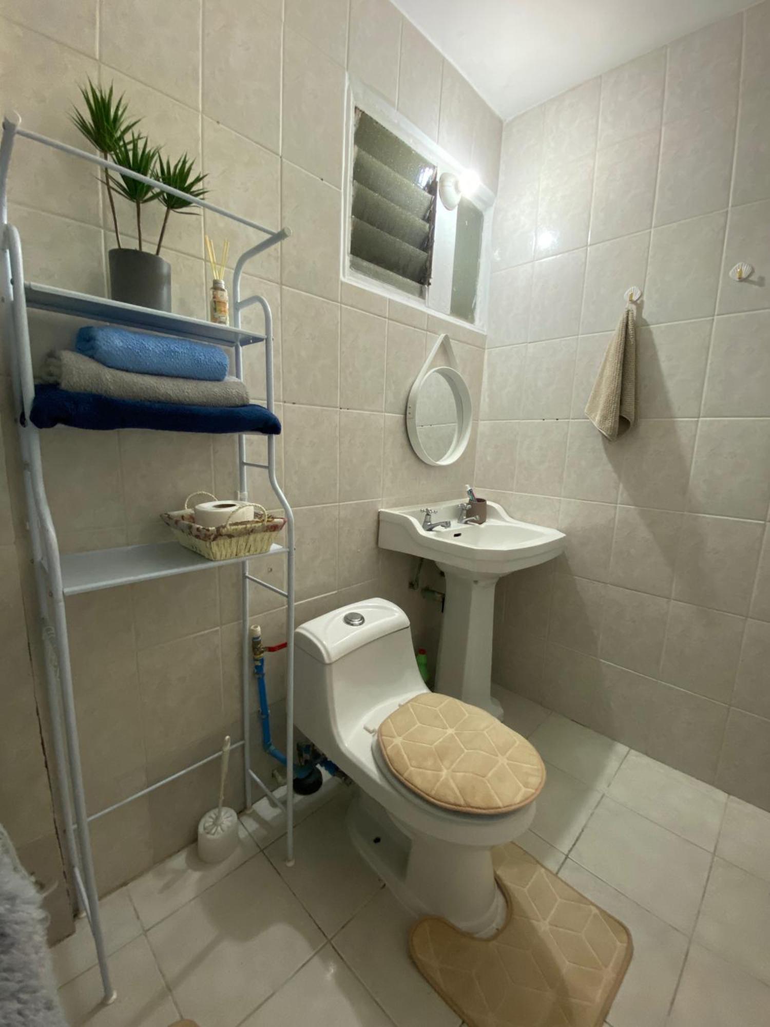 Departamento En Providencia Casa Roman Santiago Ngoại thất bức ảnh